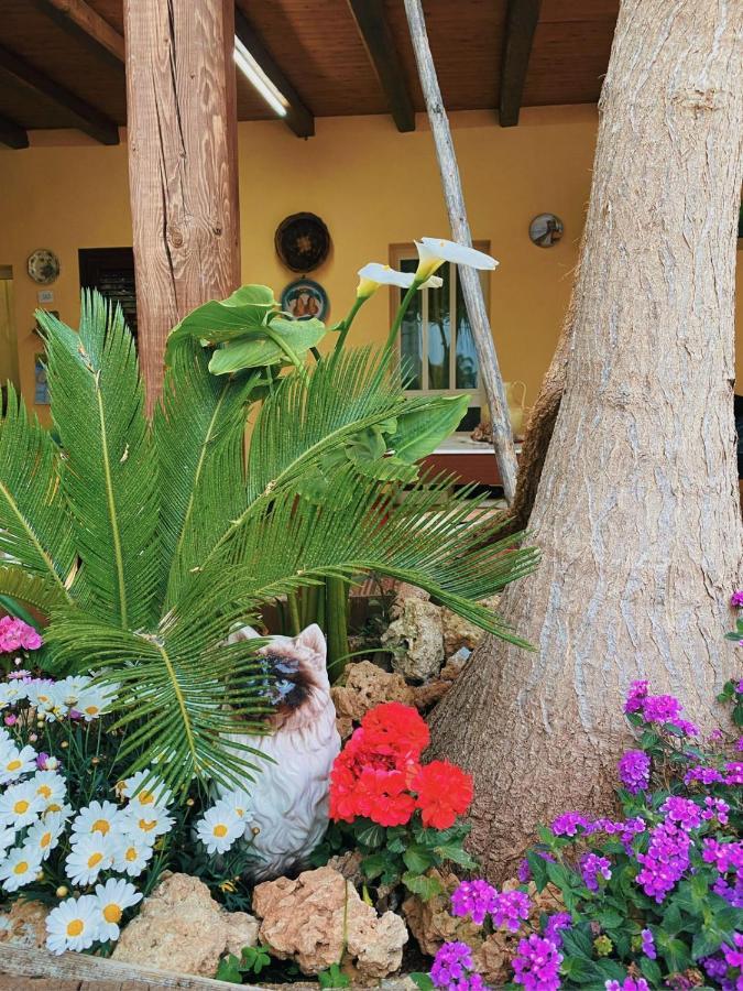Hotel La Casa Di Anna Marsala Zewnętrze zdjęcie